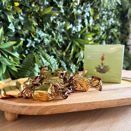 Apartamento Vertical Forest House